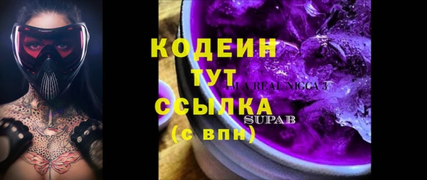 стаф Богданович