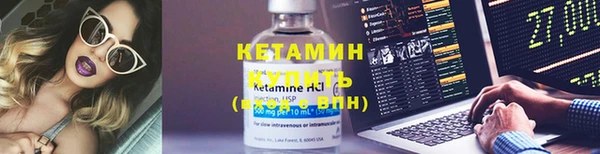 стаф Богданович