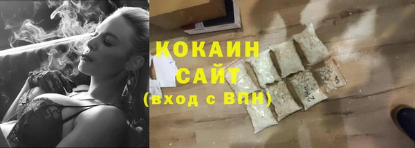 стаф Богданович