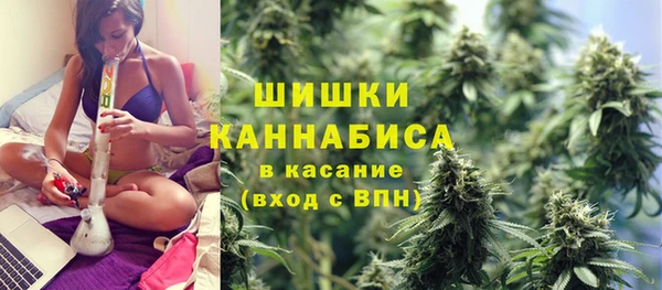 ПСИЛОЦИБИНОВЫЕ ГРИБЫ Белоозёрский