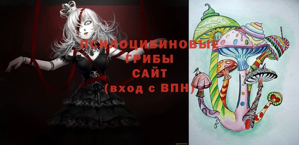 стаф Богданович