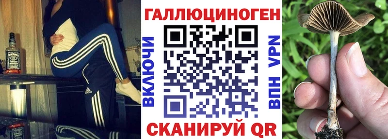 Псилоцибиновые грибы GOLDEN TEACHER  hydra зеркало  Корсаков  закладка 